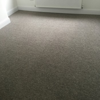 Carpet3